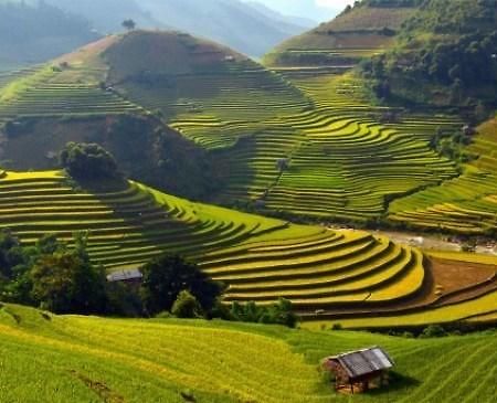 Discovery Hotel Sapa Exterior photo