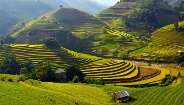 Discovery Hotel Sapa Exterior photo